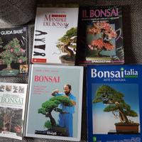 Bonsai