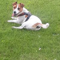 Jake Russel maschio 6anni