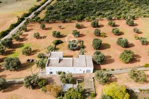 Masseria - Crispiano