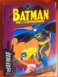 Batman con Robin - il Ragazzo meraviglia