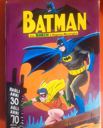 Batman con Robin - il Ragazzo meraviglia