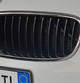 Griglie bmw 