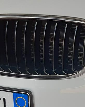 Griglie bmw 