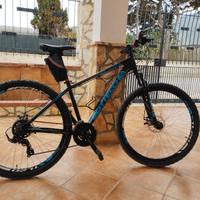 bottecchia FX 109 29"