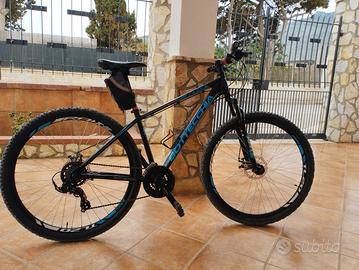 bottecchia FX 109 29"