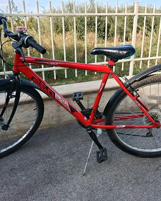 bici 26 pollici