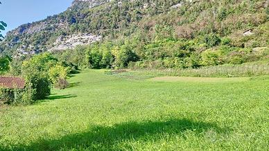 Terreno Agricolo - Ospedaletto