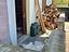 Immagine 23