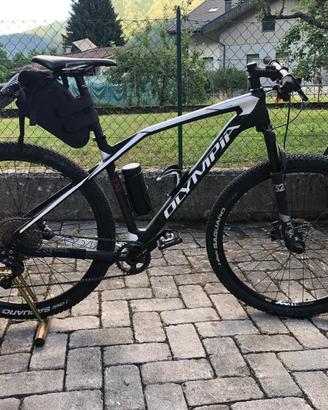Mtb olympia iron 29”