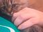 Immagine 4