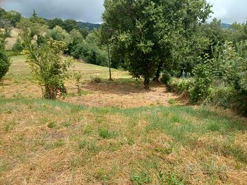 Terreno edificabile a Montegrimano T