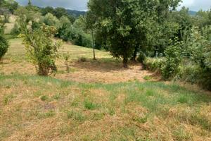 Terreno edificabile a Montegrimano T