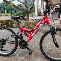 bicicletta bambino fino a 12 anni 