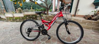 bicicletta bambino fino a 12 anni 