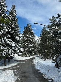 Casa vacanze casa dei Boschi campo di Giove