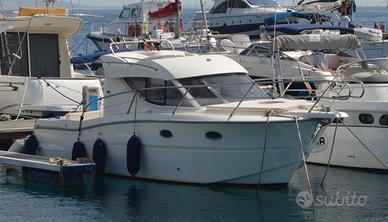 Sessa Dorado 26 anno 2009