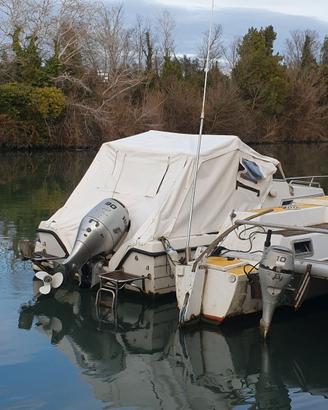 BARCA ACQUAVIVA 6MT IN VETRORESINA SEMICABINATO