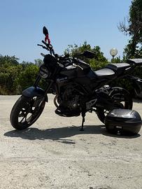 Honda cb300r