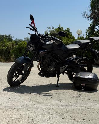 Honda cb300r