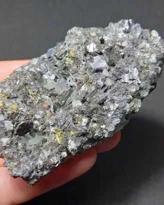 AUG03.04 GALENA con Chalcopyrite (Dalnegorsk, Russ