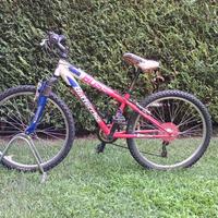 MTB bottecchia 24