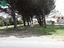 Immagine 7