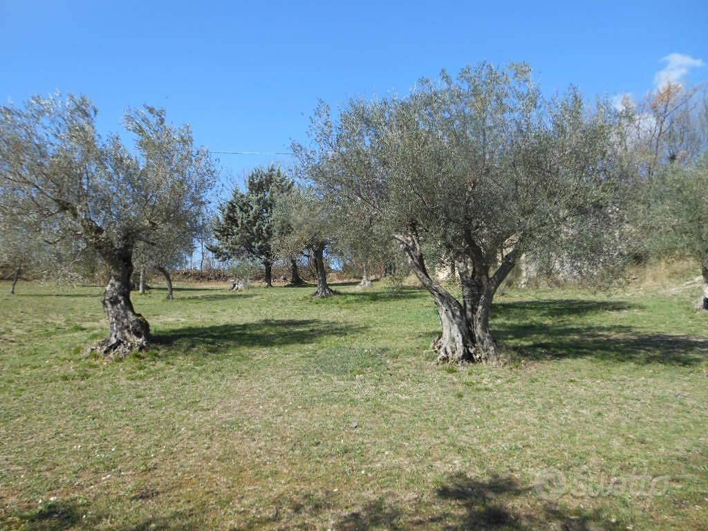 Terreno di 20000 m² a Pratella - Vista 4