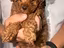 Immagine 3