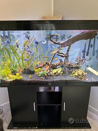 Acquario compreso di pesci e mobile