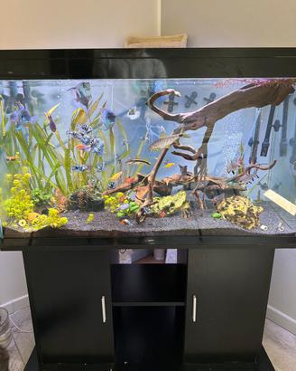 Acquario compreso di pesci e mobile