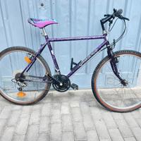 Mountain bike Girardengo 26" cambio Shimano
