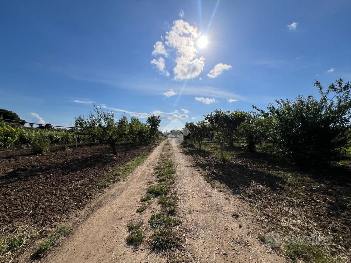 TER. AGRICOLO A MESAGNE - Altro