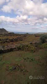 Terreno con Progetto approvato