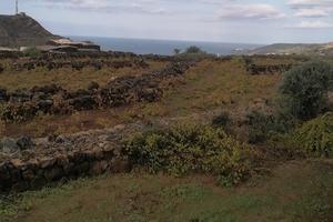 Terreno con Progetto approvato