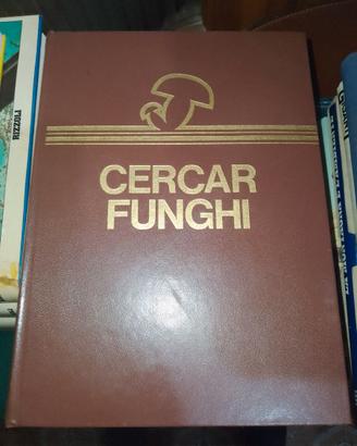 Cercar funghi