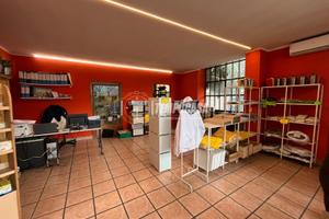 CAPANNONE CON SPAZIO ESTERNO!!!