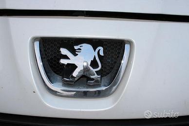 PEUGEOT 5008 1.6 -gasolio anno 2010