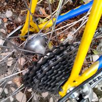 ruote campagnolo 28"