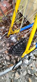 ruote campagnolo 28"