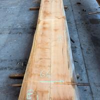 Tavoloni cedro essiccati