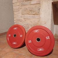 2 dischi della Leonardo da 25 kg 