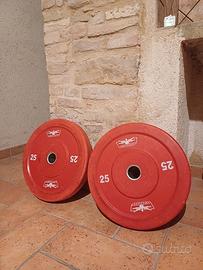 2 dischi della Leonardo da 25 kg 