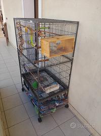 gabbia per uccelli 