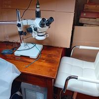 microscopio stereoscopico