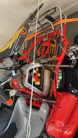 Telaio Go kart intrepid