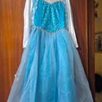 Vestito carnevale