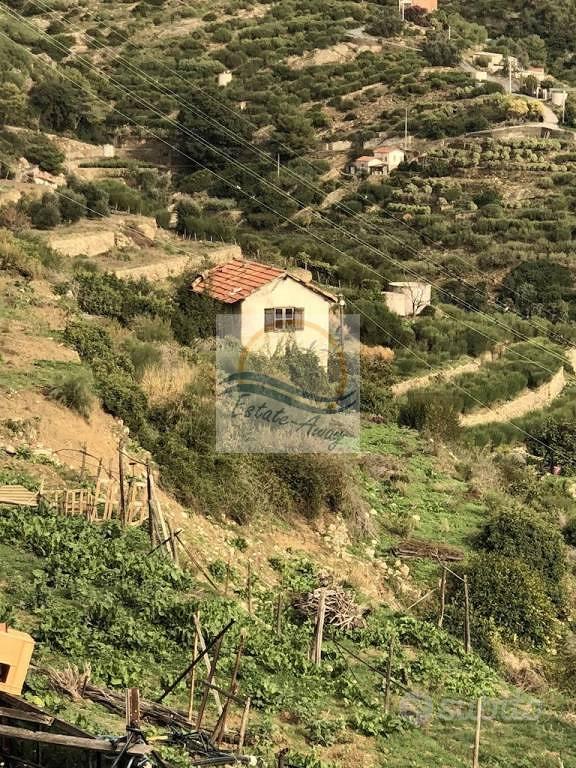 Casa – Bordighera, Arziglia - Altro