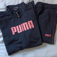 Tuta puma