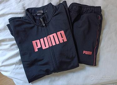 Tuta puma
