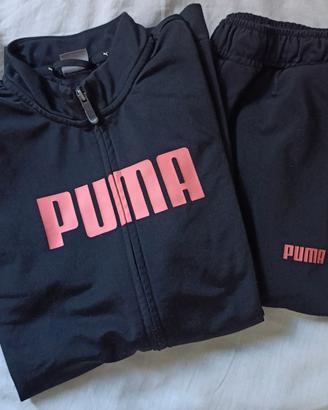 Tuta puma